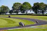 Middle Group Black Bikes